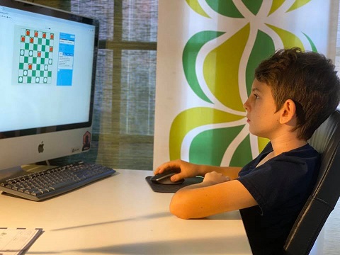 Онлайн-турнир по англо-американским шашкам в школе «Городок Sunville»